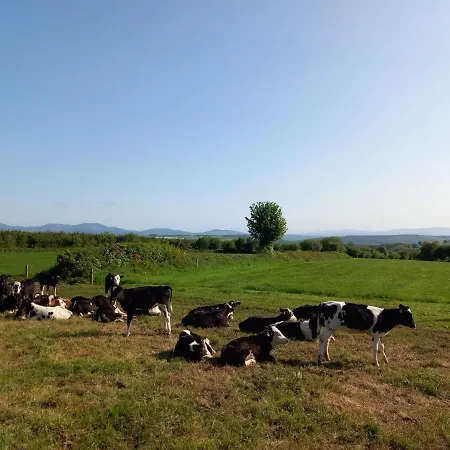 Vakantiehuis Sandpit