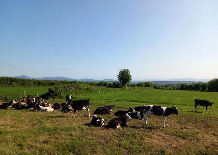 Hébergement de vacances Sandpit